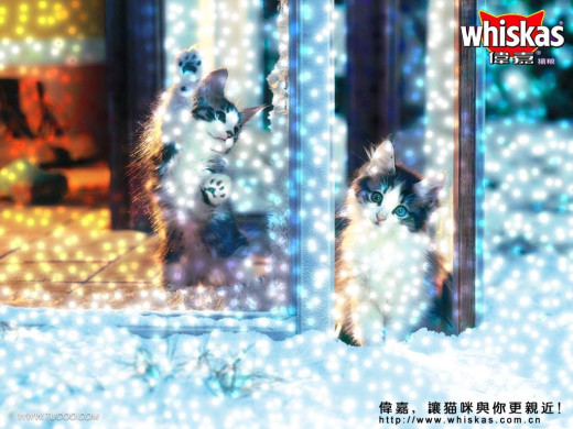 305439 (a): :1024x768